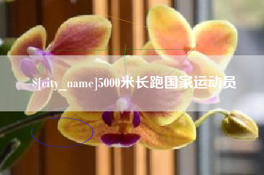 余江5000米长跑国家运动员