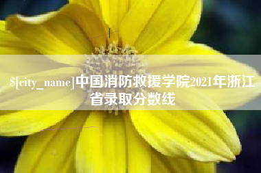 余江中国消防救援学院2021年浙江省录取分数线