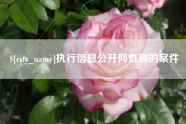 余江执行信息公开网查到的案件