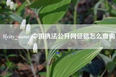 余江中国执法公开网征信怎么查询
