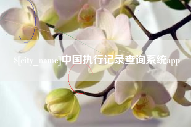 余江中国执行记录查询系统app