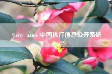 余江中国执行信息公开系统