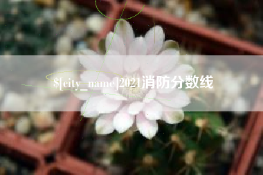 余江2021消防分数线