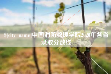余江中国消防救援学院2020年各省录取分数线