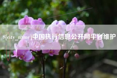 余江中国执行信息公开网平台维护