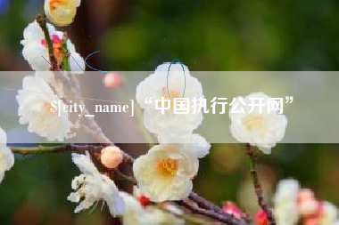 余江“中国执行公开网”