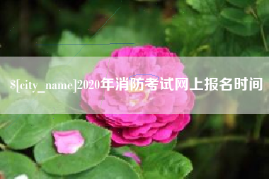 余江2020年消防考试网上报名时间