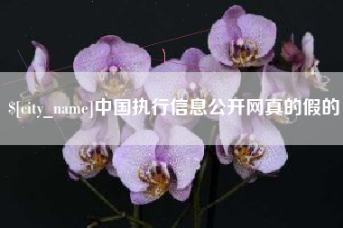 余江中国执行信息公开网真的假的