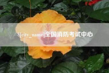 余江全国消防考试中心