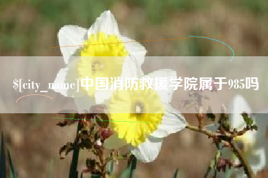 余江中国消防救援学院属于985吗