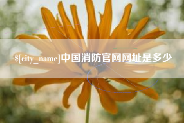 余江中国消防官网网址是多少
