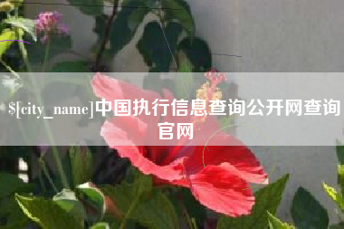 余江中国执行信息查询公开网查询官网