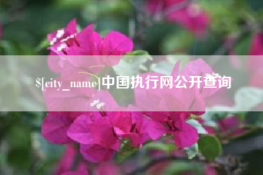 余江中国执行网公开查询