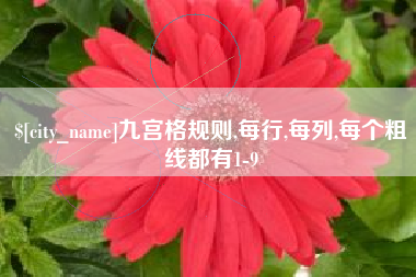 余江九宫格规则,每行,每列,每个粗线都有1-9