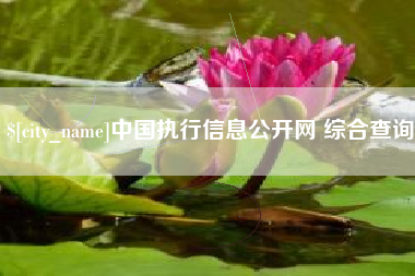 余江中国执行信息公开网 综合查询