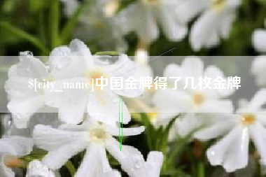 余江中国金牌得了几枚金牌