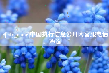 余江中国执行信息公开网客服电话查询