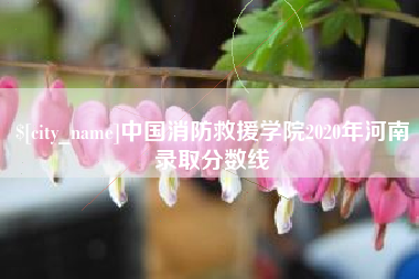 余江中国消防救援学院2020年河南录取分数线