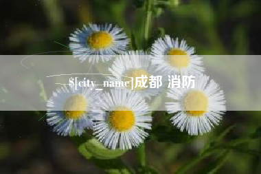 余江成都 消防