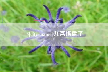 余江九宫格盘子