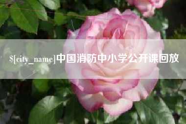 余江中国消防中小学公开课回放