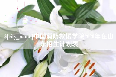 余江中国消防救援学院2020年在山东招生计划表