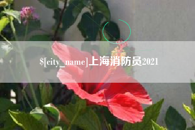 余江上海消防员2021