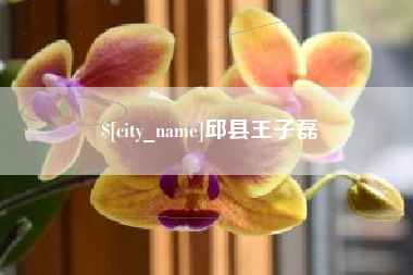 余江邱县王子磊
