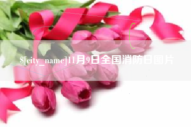 余江11月9日全国消防日图片