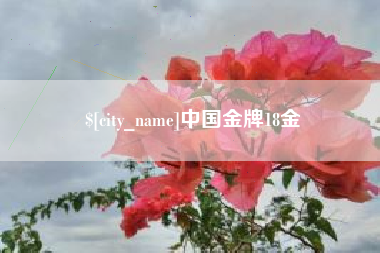 余江中国金牌18金