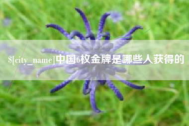 余江中国6枚金牌是哪些人获得的
