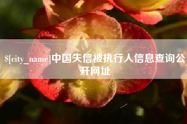 余江中国失信被执行人信息查询公开网址