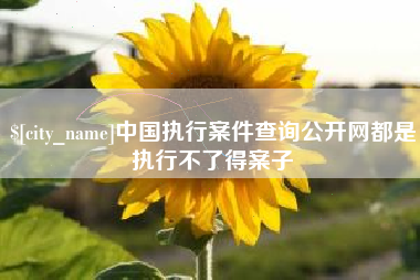 余江中国执行案件查询公开网都是执行不了得案子