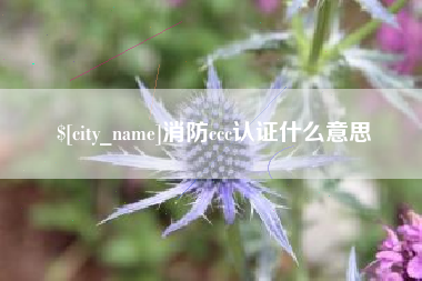 余江消防ccc认证什么意思