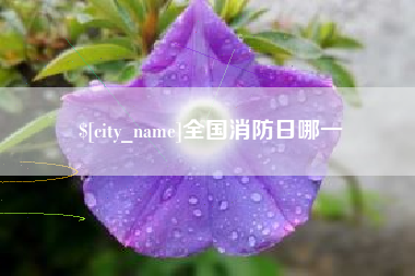 余江全国消防日哪一