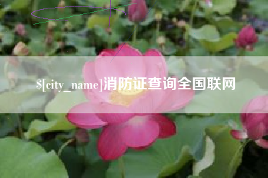 余江消防证查询全国联网