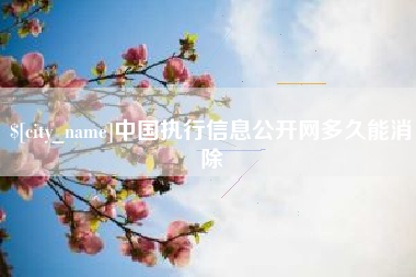 余江中国执行信息公开网多久能消除