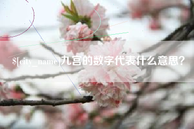 余江九宫的数字代表什么意思？