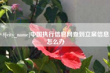 余江中国执行信息网查到立案信息怎么办