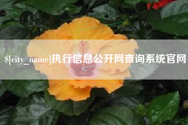 余江执行信息公开网查询系统官网