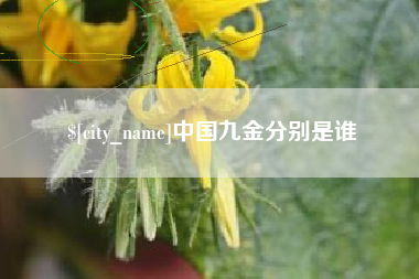 余江中国九金分别是谁