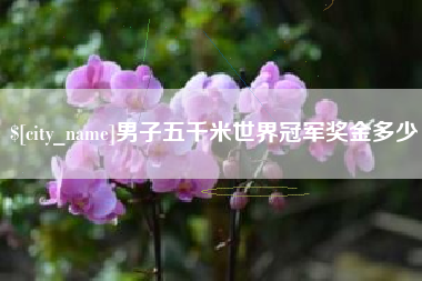 余江男子五千米世界冠军奖金多少