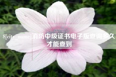 余江消防中级证书电子版查询多久才能查到