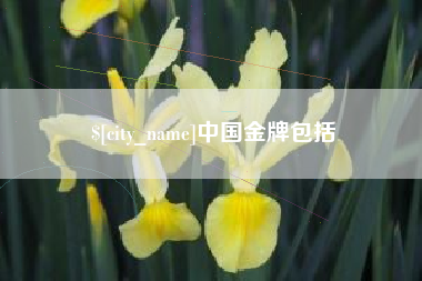余江中国金牌包括