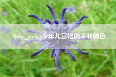余江今年九宫格的不利颜色