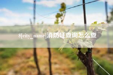 余江消防证查询怎么查