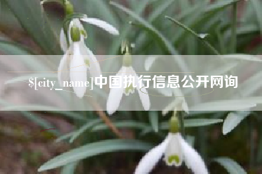 余江中国执行信息公开网询
