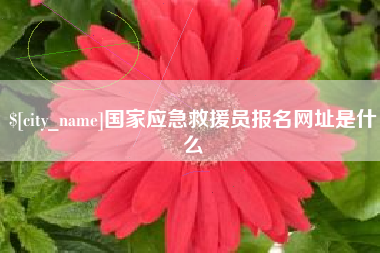 余江国家应急救援员报名网址是什么