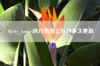 余江执行信息公开网多久更新