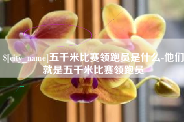 余江五千米比赛领跑员是什么-他们就是五千米比赛领跑员
